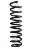 SPIDAN 49591 Coil Spring